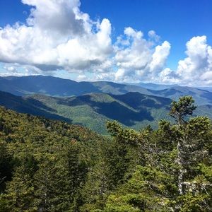 Meet your Posher, Brad